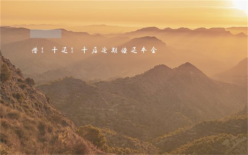 借1千还1千后逾期偿还本金 借1千还1千后逾期偿还本金