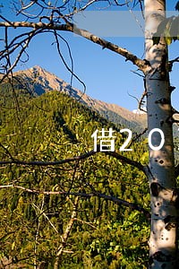 借20万只还利息到期还本金 借20万只还利息到期还本金