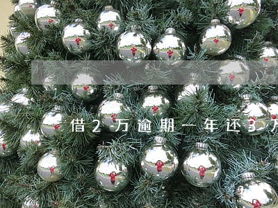 借2万逾期一年还3万 借2万逾期一年还3万
