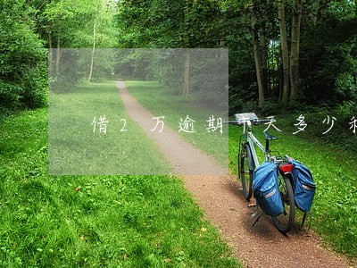 借2万逾期十天多少利息