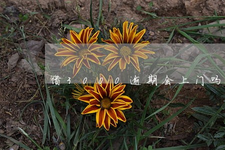 借3000逾期会上门吗 借3000逾期会上门吗
