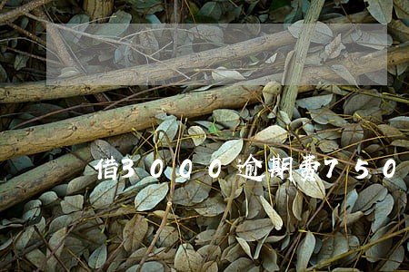 借3000逾期费750合法吗 借3000逾期费750合法吗