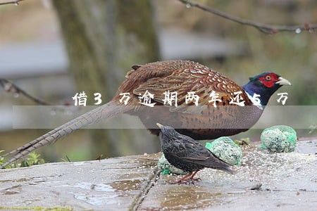 借3万逾期两年还5万 借3万逾期两年还5万