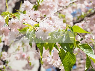 借3万逾期了一年要我还10几万 借3万逾期了一年要我还10几万