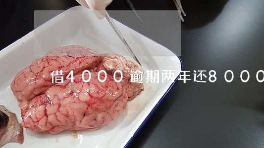 借4000逾期两年还8000 借4000逾期两年还8000