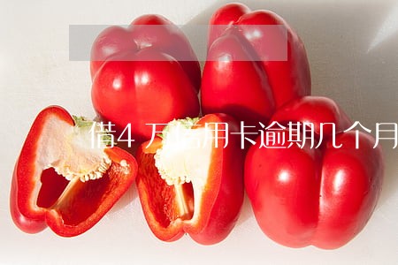 借4万信用卡逾期几个月 借4万信用卡逾期几个月