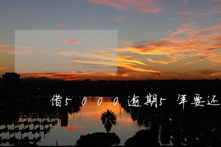 借5000逾期5年要还多少 借5000逾期5年要还多少