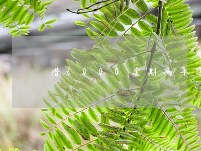借5000逾期两年还3万