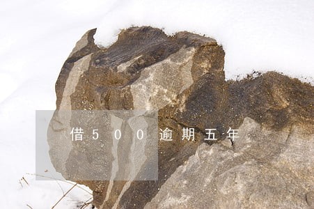 借500逾期五年 借500逾期五年
