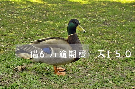 借6万逾期费一天150块 借6万逾期费一天150块