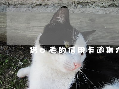 借6毛的信用卡逾期六年 借6毛的信用卡逾期六年