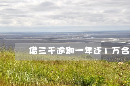 借三千逾期一年还1万合理吗 借三千逾期一年还1万合理吗