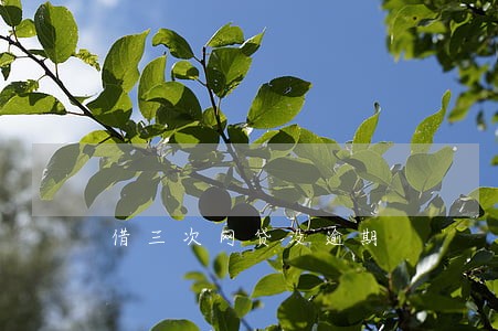 借三次网贷没逾期 借三次网贷没逾期