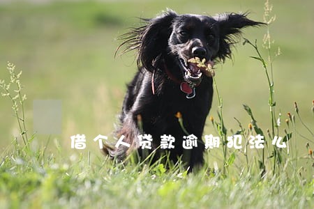 借个人贷款逾期犯法么 借个人贷款逾期犯法么