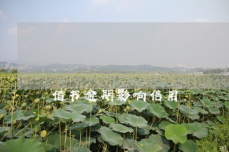 借书逾期影响信用 借书逾期影响信用