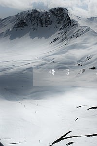 借了714逾期了怎么没有催收 借了714逾期了怎么没有催收