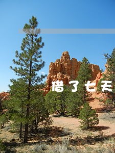 借了七天网贷逾期怎么办了 借了七天网贷逾期怎么办了