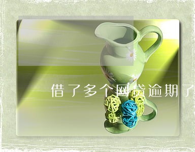 借了多个网贷逾期了怎么办 借了多个网贷逾期了怎么办