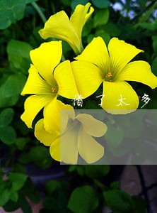借了太多网贷逾期怎么办 借了太多网贷逾期怎么办