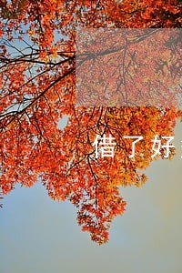 借了好多网贷逾期了怎么办 借了好多网贷逾期了怎么办