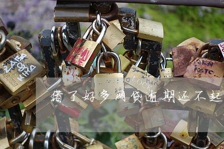 借了好多网贷逾期还不起 借了好多网贷逾期还不起