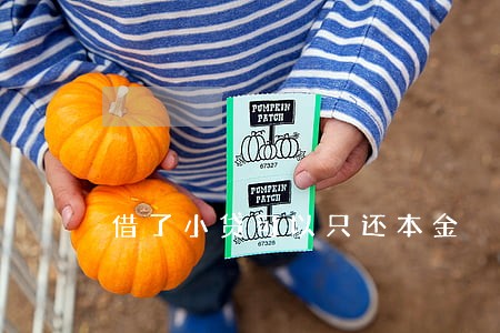 借了小贷可以只还本金 借了小贷可以只还本金