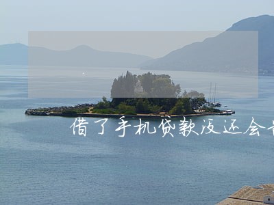 借了手机贷款没还会告上法院吗 借了手机贷款没还会告上法院吗