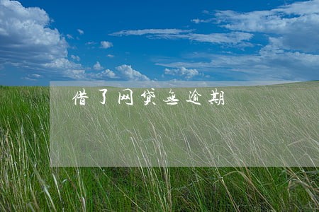 借了网贷无逾期 借了网贷无逾期