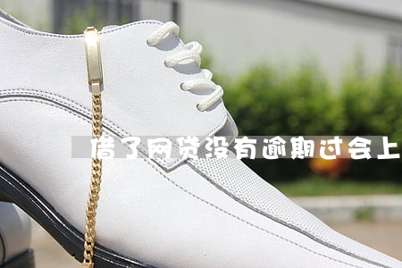 借了网贷没有逾期过会上征信吗 借了网贷没有逾期过会上征信吗