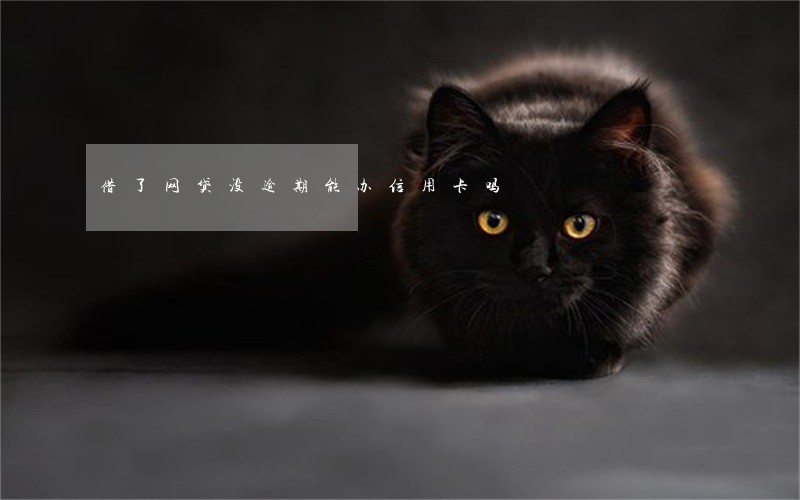 借了网贷没逾期能办信用卡吗 借了网贷没逾期能办信用卡吗