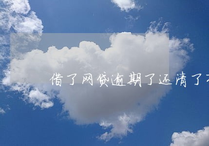 借了网贷逾期了还清了有什么影响