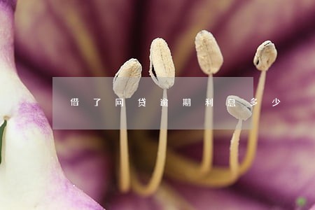 借了网贷逾期利息多少 借了网贷逾期利息多少