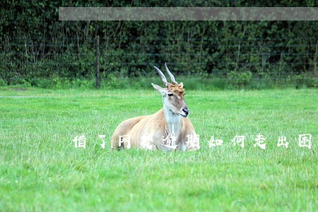 借了网贷逾期如何走出困境 借了网贷逾期如何走出困境
