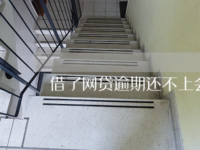 借了网贷逾期还不上会判刑吗 借了网贷逾期还不上会判刑吗