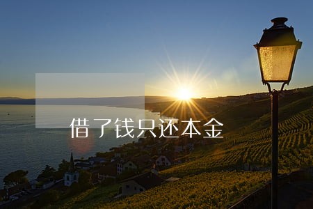 借了钱只还本金 借了钱只还本金