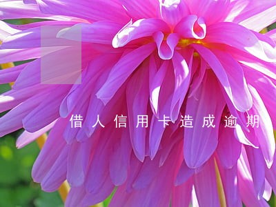 借人信用卡造成逾期 借人信用卡造成逾期