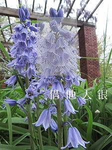 借他人银行卡避税违法吗 借他人银行卡避税违法吗