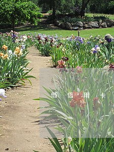 借信用卡8千逾期未还
