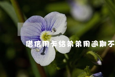 借信用卡给弟弟用逾期不还