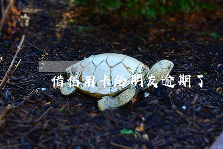 借信用卡给朋友逾期了 借信用卡给朋友逾期了