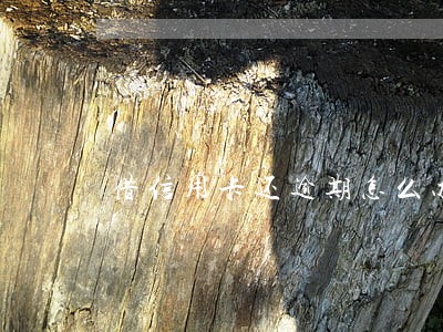 借信用卡还逾期怎么办