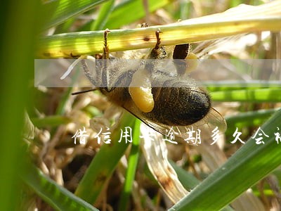 借信用卡逾期多久会被起诉 借信用卡逾期多久会被起诉