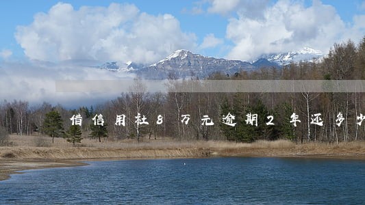 借信用社8万元逾期2年还多少