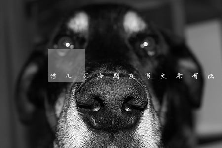 借几万给朋友写欠条有法律效应 借几万给朋友写欠条有法律效应