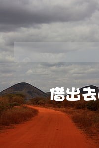 借出去的钱只还本金咋办