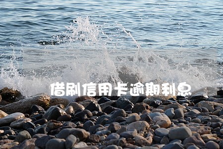 借刷信用卡逾期利息 借刷信用卡逾期利息