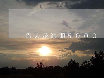 借去花逾期5000 借去花逾期5000