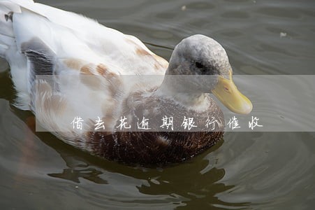 借去花逾期银行催收 借去花逾期银行催收