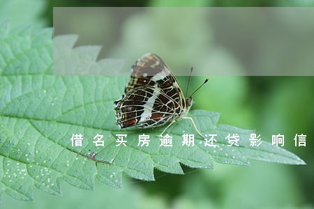 借名买房逾期还贷影响信用损失 借名买房逾期还贷影响信用损失