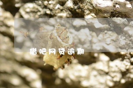 借吧网贷逾期 借吧网贷逾期